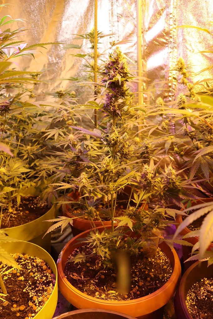 Slika /PU_BP/2022/slika 2.jpg